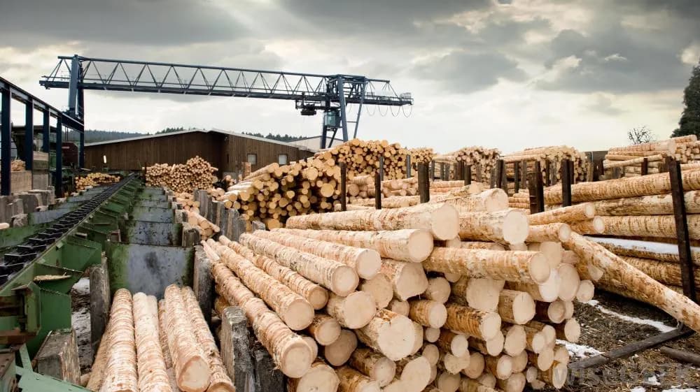 Sawmill yard with stacked lumber and log piles, the new-lumber source blended into hybrid remanufactured pallet builds