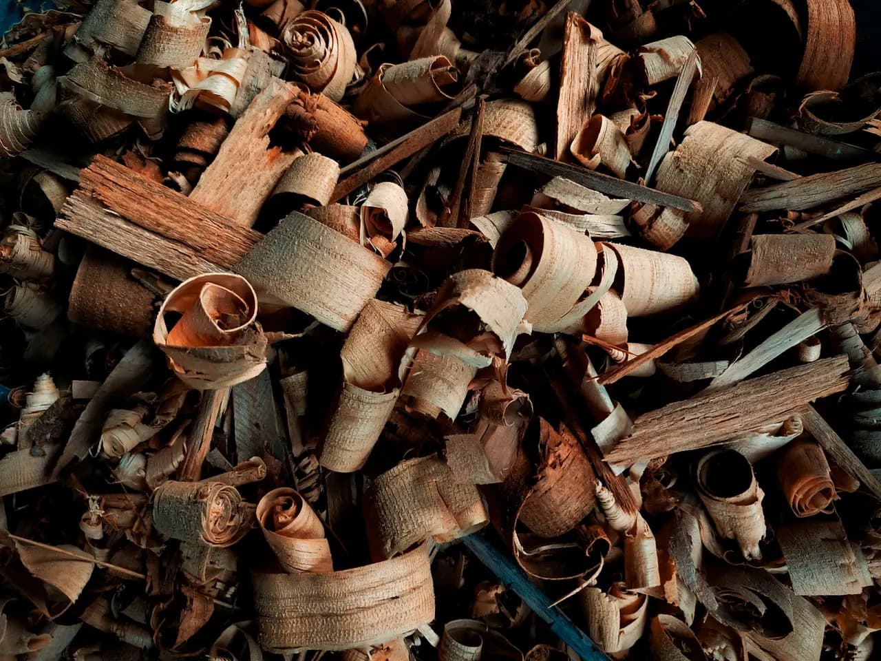 Pile of curled wood shavings and recovered wood material — sawdust diverted for bedding, mulch, and recycling