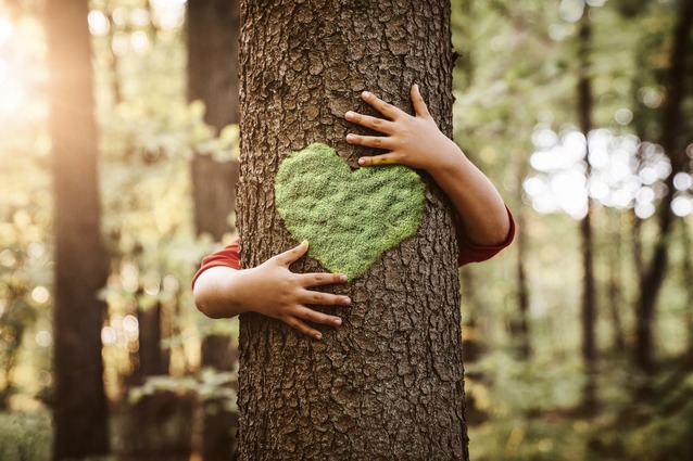 child hugging tree