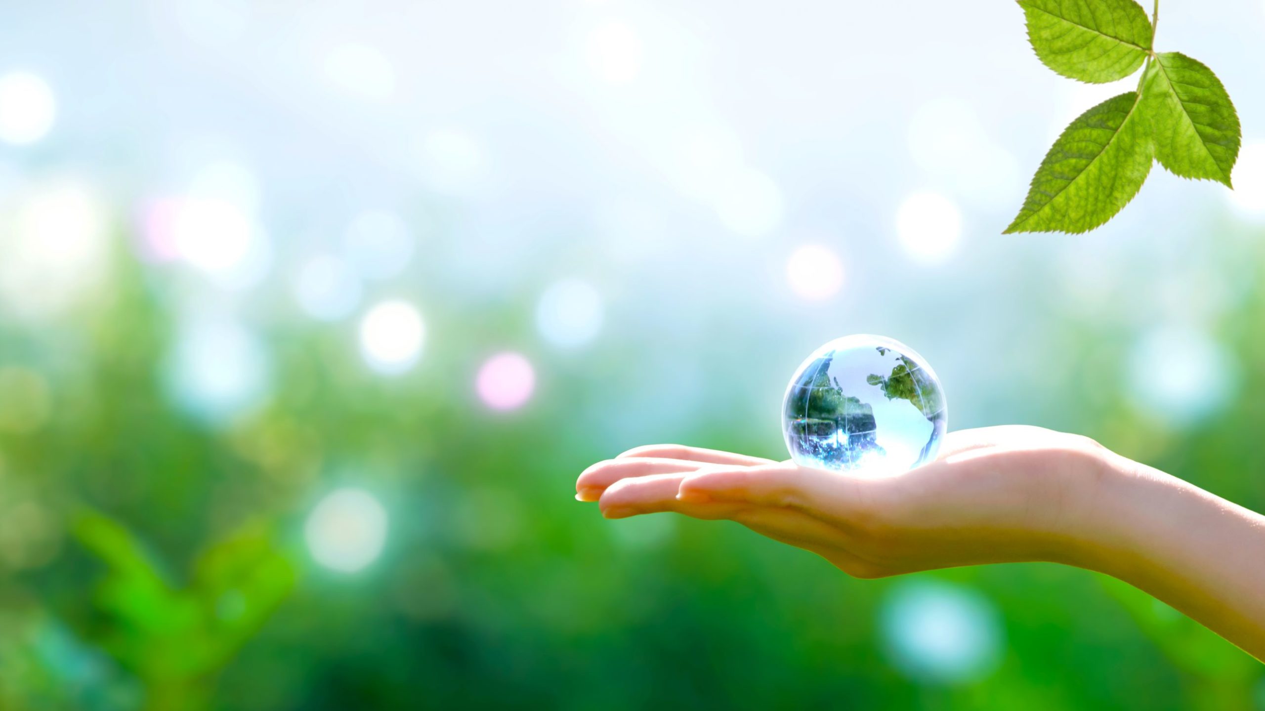 hand holding globe with trees in background